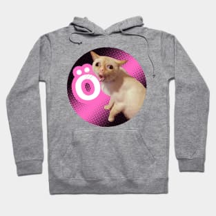 Funny cat Hoodie